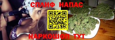 Альфа ПВП Нарткала
