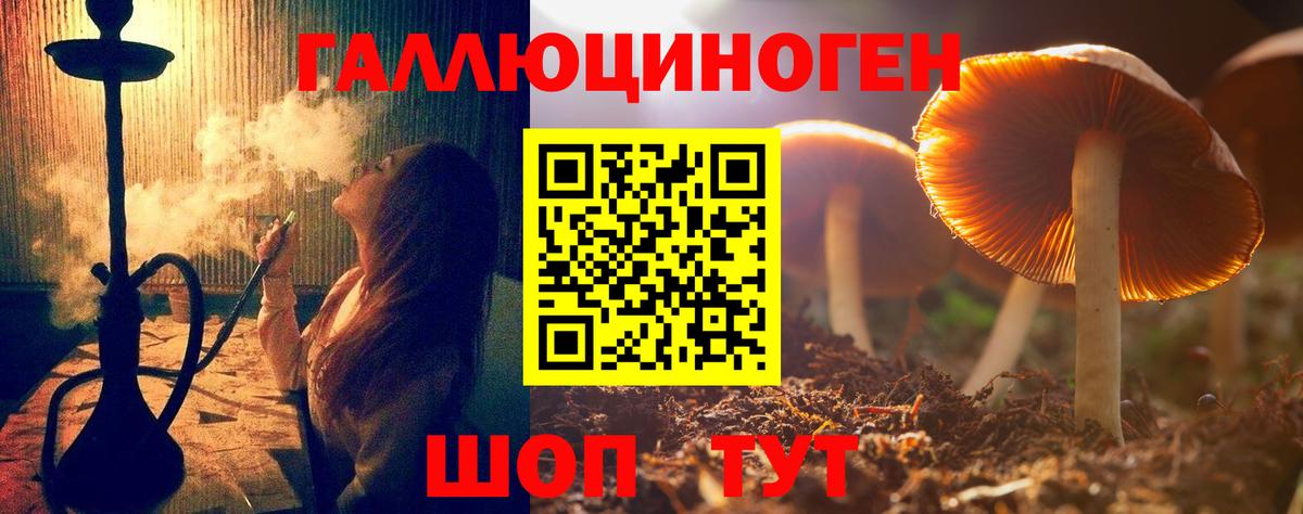 Галлюциногенные грибы GOLDEN TEACHER  Вход с VPN  Псилоцибиновые грибы Psilocybine cubensis  закладка  Партизанск 